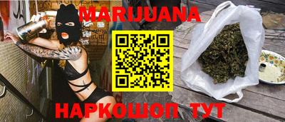 спиды Кингисепп