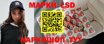 спиды Кингисепп