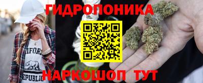 спиды Кингисепп