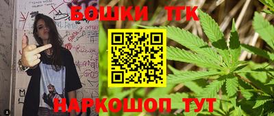спиды Кингисепп