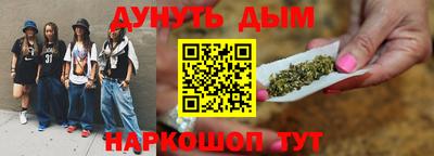 спиды Кингисепп