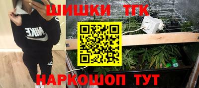 спиды Кингисепп