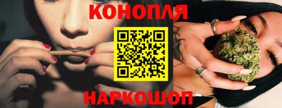 спиды Кингисепп