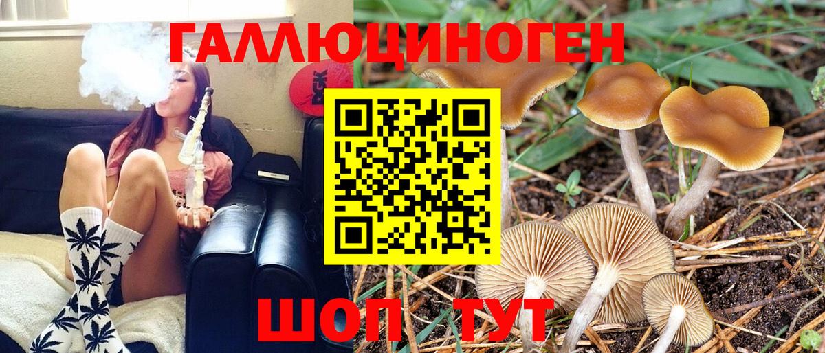 Галлюциногенные грибы Magic Shrooms  Вход с VPN  Балтийск  Галлюциногенные грибы прущие грибы 