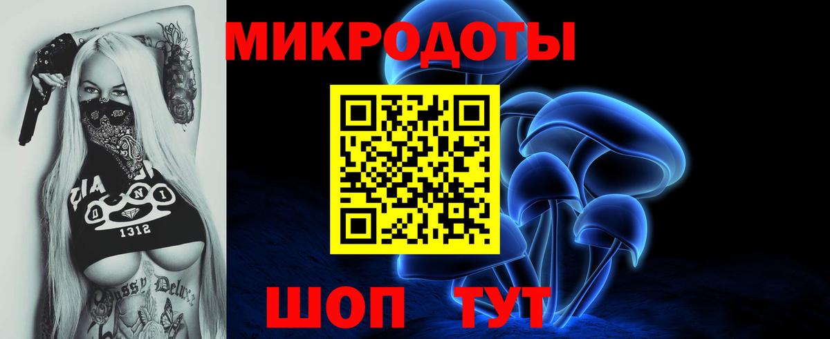 APVP Балтийск